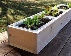 Image result for DIY Garden Boxes