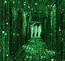 Image result for Matrix Phone Wallpaper