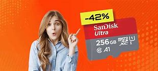 Image result for micro SD 256