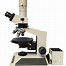 Image result for Olympus Trinocular Microscope