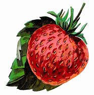 Image result for Strawberry with Long Hair Fruit