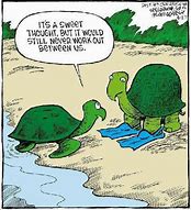 Image result for Funny Turtle Jokes