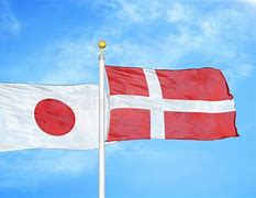 Image result for Japan Denmark Flag