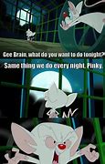 Image result for Pinky and the Brain Meme the Same Thing We Do Every Night
