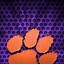 Image result for Clemson iPhone 11 Wallpapaer