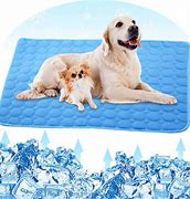 Image result for Cooling Gel Dog Bed