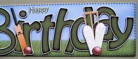 Image result for Cricket Birthday Banner
