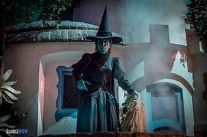 Image result for Hochul Wicked Witch