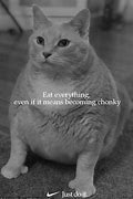 Image result for Chonky Cat Scale Meme