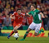 Image result for Republic of Ireland Football