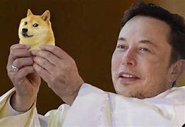 Image result for Elon Dogecoin