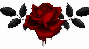 Image result for Gothic Rose Overlay