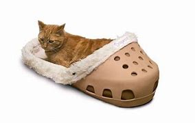 Image result for Giant Shoe Slippers