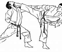 Image result for Recluse Style Martial Arts