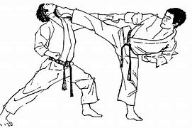 Image result for Martial Arts Black and White