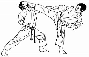Image result for Shotokan Cartoon