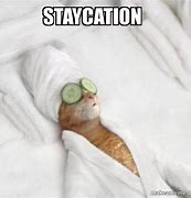 Image result for Staycation Meme