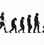 Image result for Evolution Cartoon