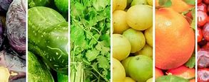 Image result for Sustainable Food Supply