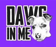 Image result for Dawg Dog