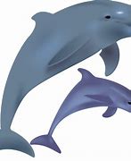 Image result for Miami Dolphins Funny Clip Art