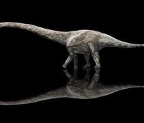 Image result for Longest Dinosaur