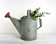 Image result for Rustic Watering Can