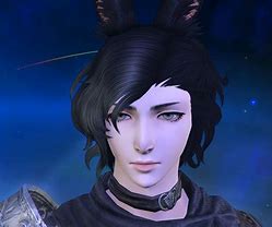 Image result for Cute Viera