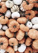 Image result for Pumpkin Spice Fall Desktop Backgrounds
