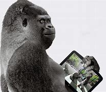 Image result for Gorilla Glass 3