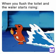 Image result for Flush Memes