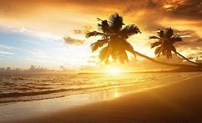 Image result for HD Beach 1920X1080