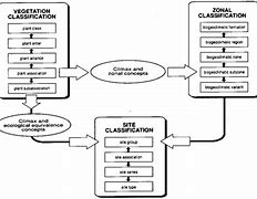 Image result for Ecosystem Flow Chart