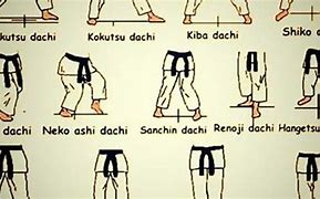Image result for Karate Moves and Hand Gestures