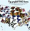 Image result for Most Googled CFB Team by State