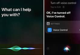 Image result for How to Turn Off Voice Mode iPhone
