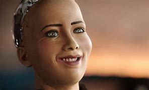 Image result for West World Robots Girl