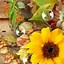 Image result for Fall Floral iPhone Wallpaper
