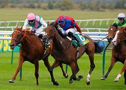 Image result for Horse Racing 1800 Newmarket