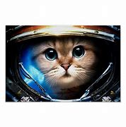 Image result for Funny Space Cat