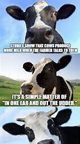 Image result for Milking Cow Dry Meme