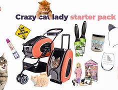 Image result for Cat Lady Starter Kit