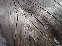 Image result for Silver Wood Texture