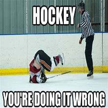 Image result for Hockey Season Memes