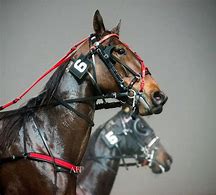 Image result for Harness Horse Racing Ball Cap
