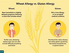 Image result for Gluten Allergy Images