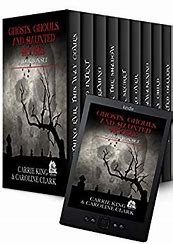 Image result for Ghosts and Ghouls Book Series