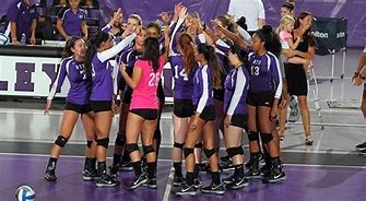 Image result for Flickr Volleyball Purple