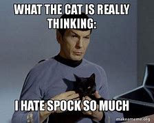 Image result for Catwhaaa Meme