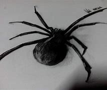 Image result for Realistic Spider Hanging Drawing